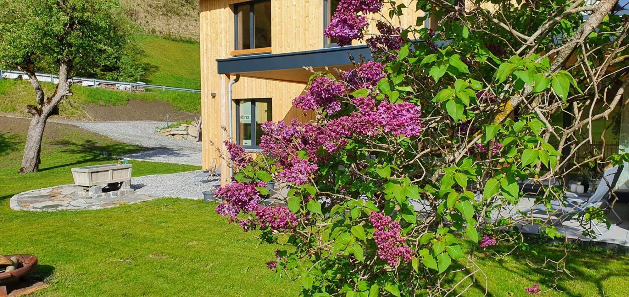 Haus Valtellina Villa Galgenul Buitenkant foto
